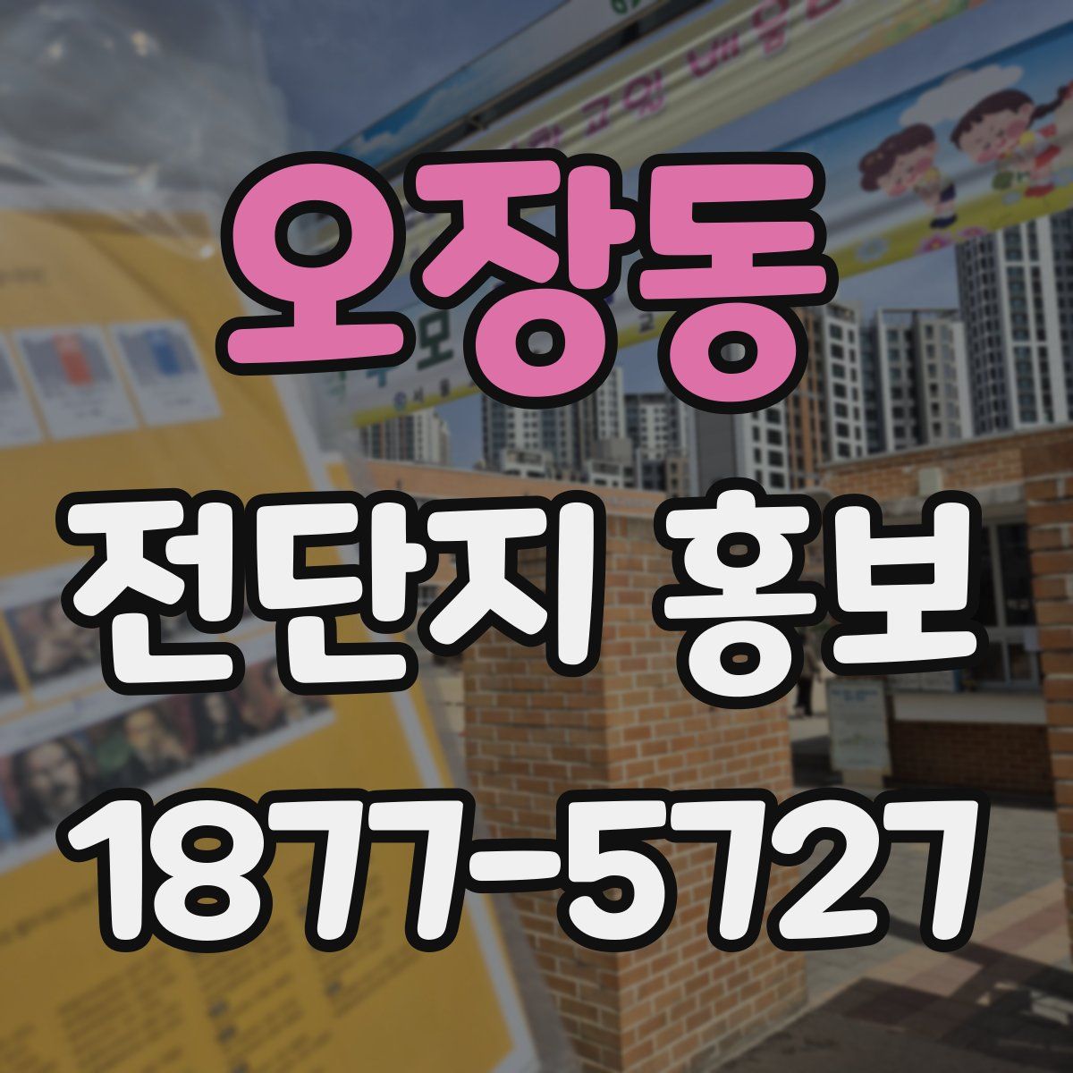 오장동 전단지 홍보