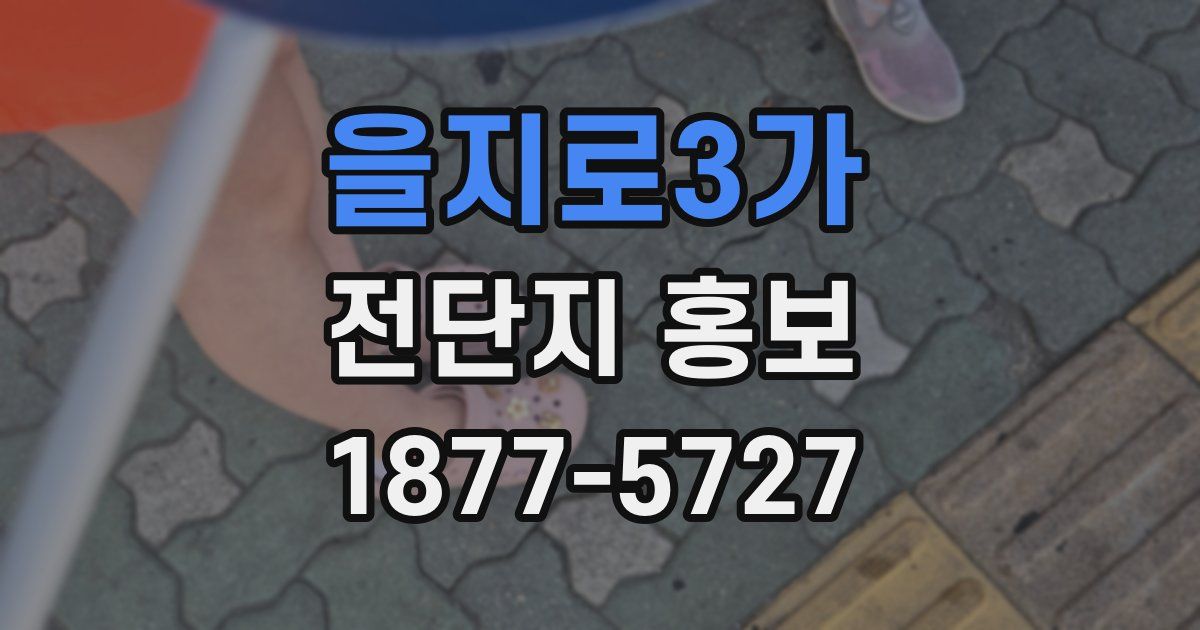 을지로3가 전단지 홍보