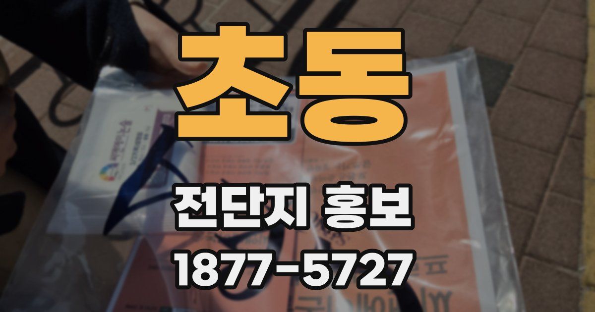 초동 전단지 홍보