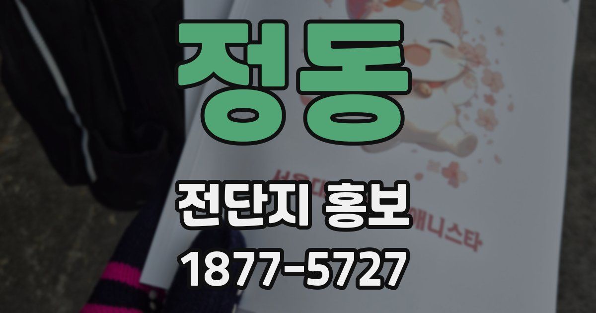 정동 전단지 홍보