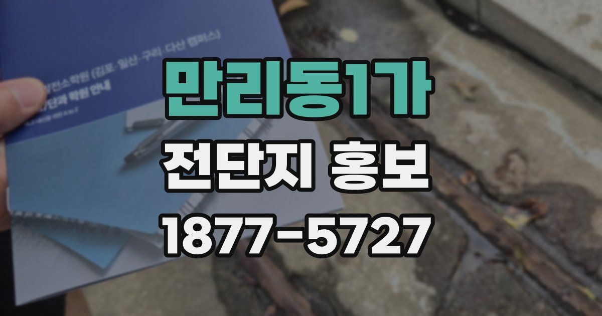 만리동1가 전단지 홍보