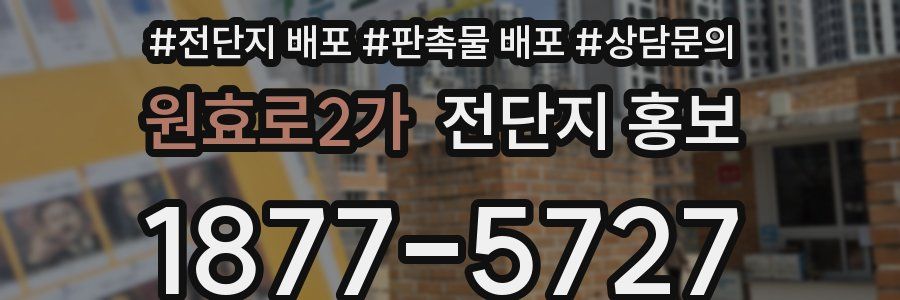 원효로2가 전단지 홍보