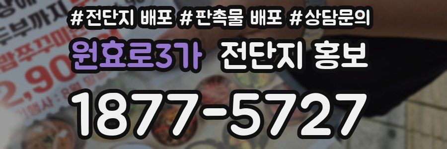 원효로3가 전단지 홍보