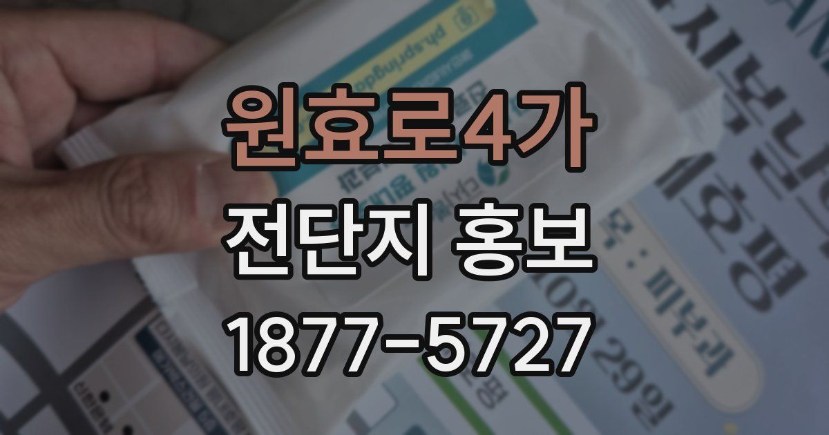 원효로4가 전단지 홍보