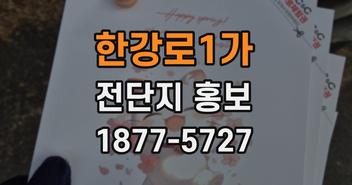 한강로1가 전단지 홍보