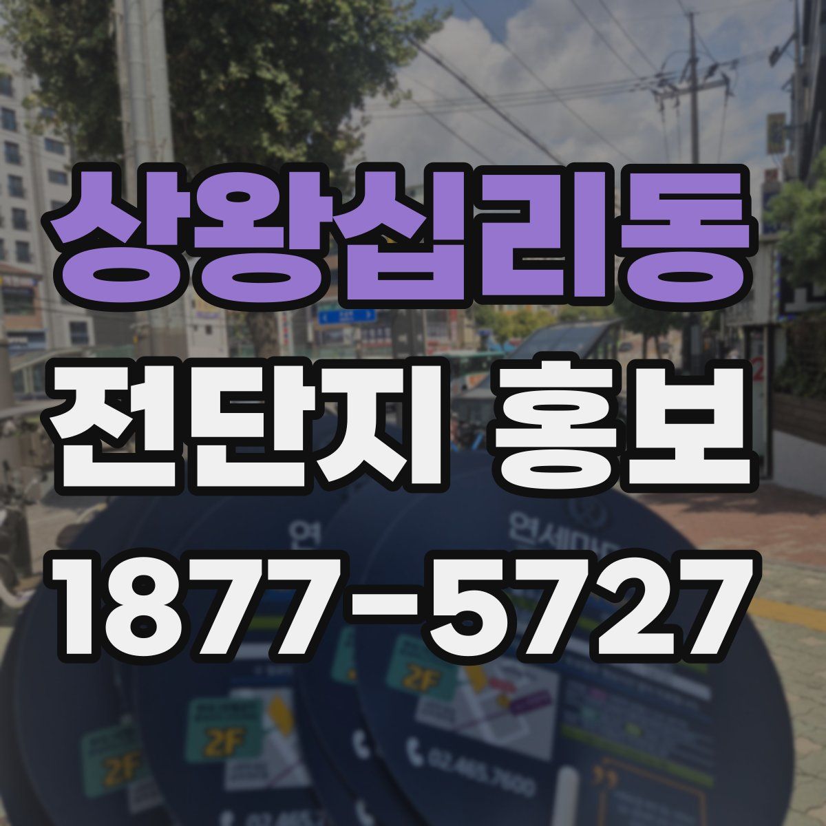 상왕십리동 전단지 홍보
