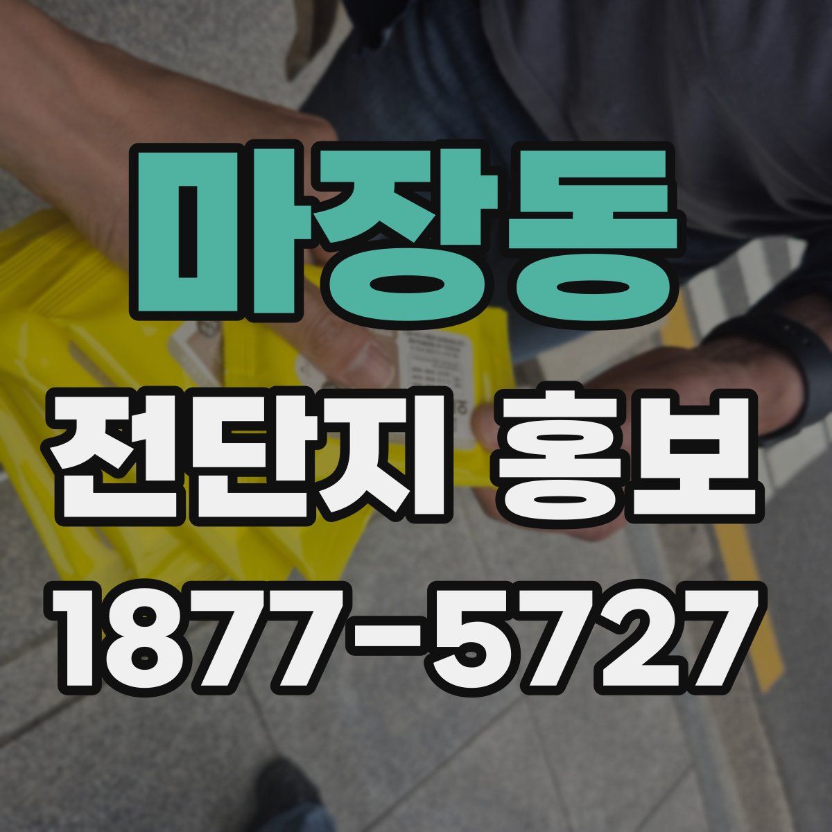 마장동 전단지 홍보