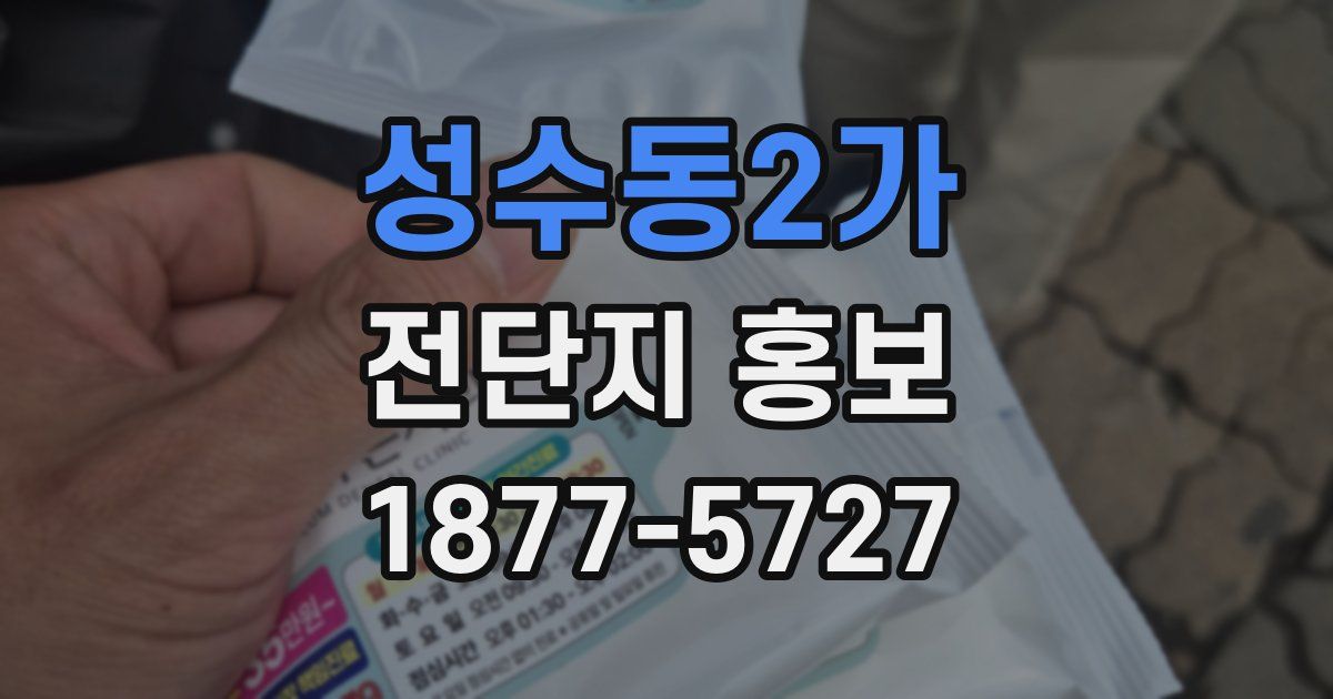 성수동2가 전단지 홍보