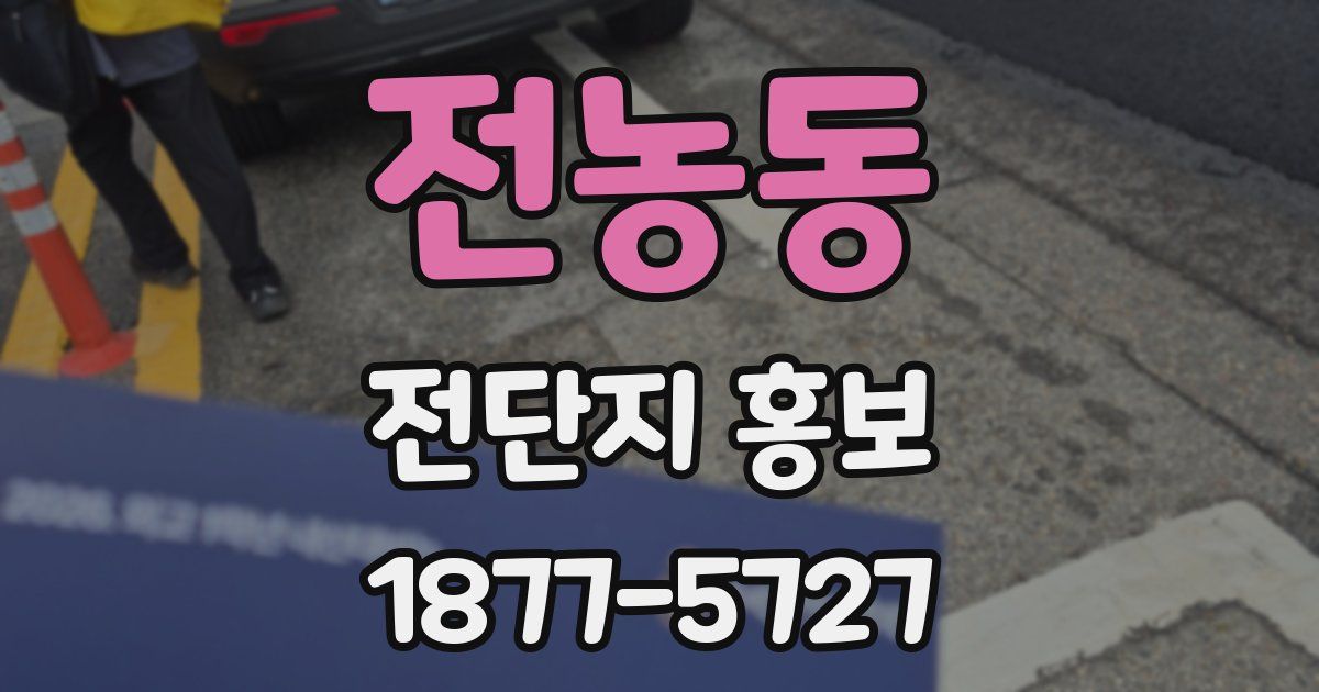 전농동 전단지 홍보