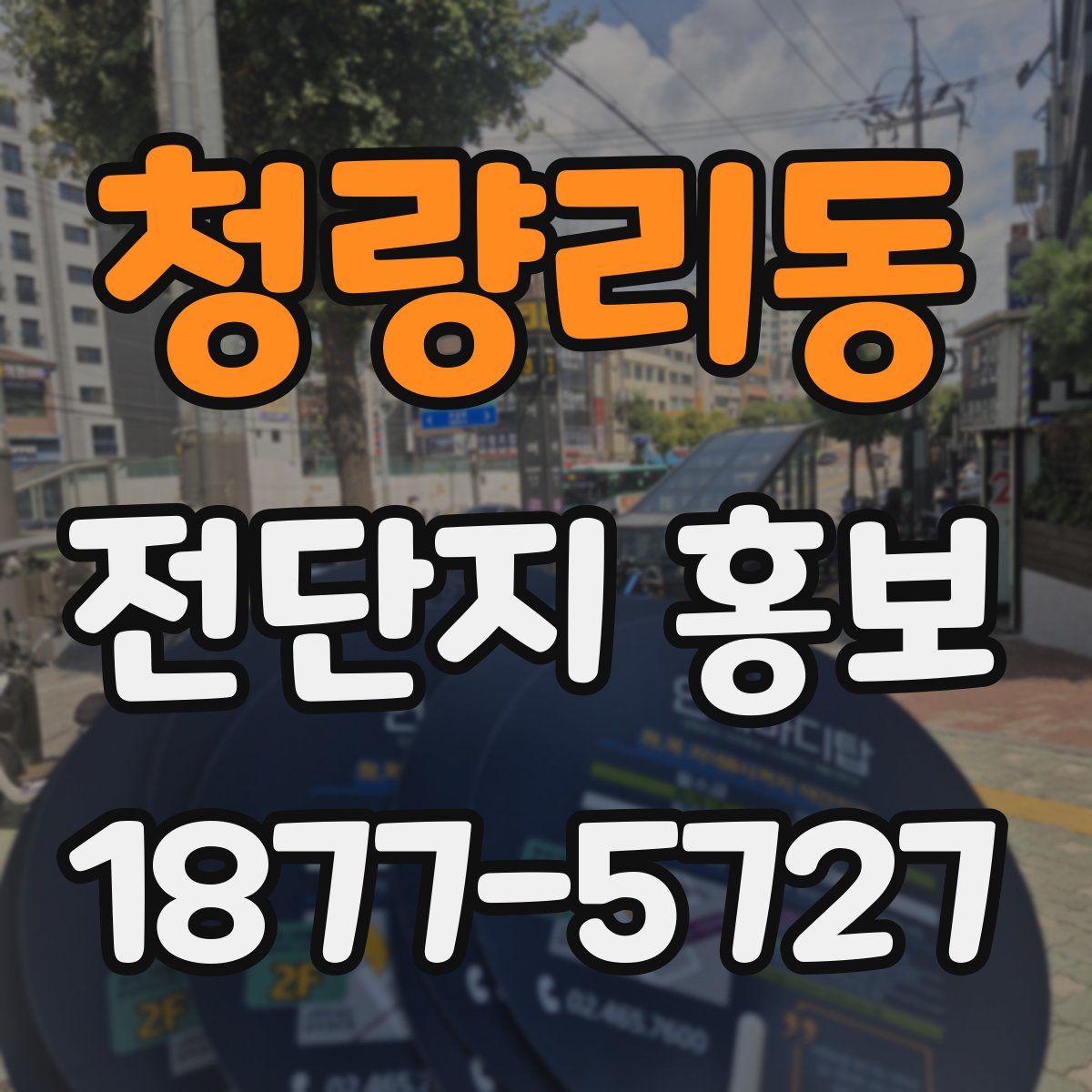 청량리동 전단지 홍보