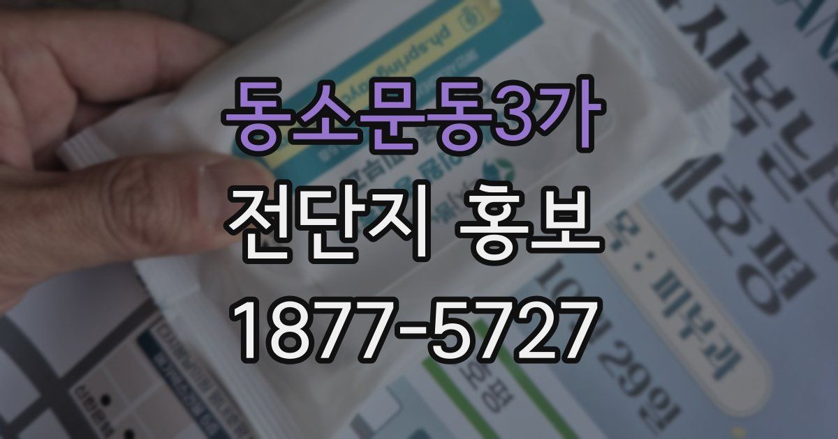 동소문동3가 전단지 홍보
