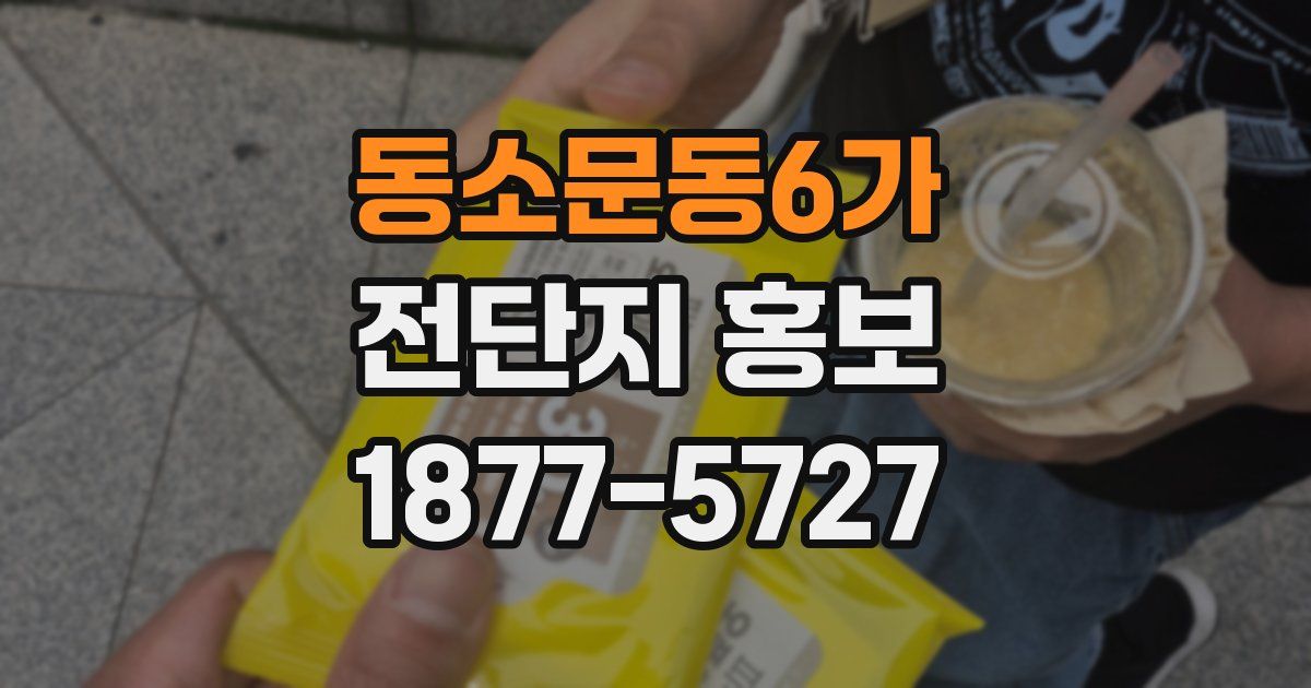 동소문동6가 전단지 홍보