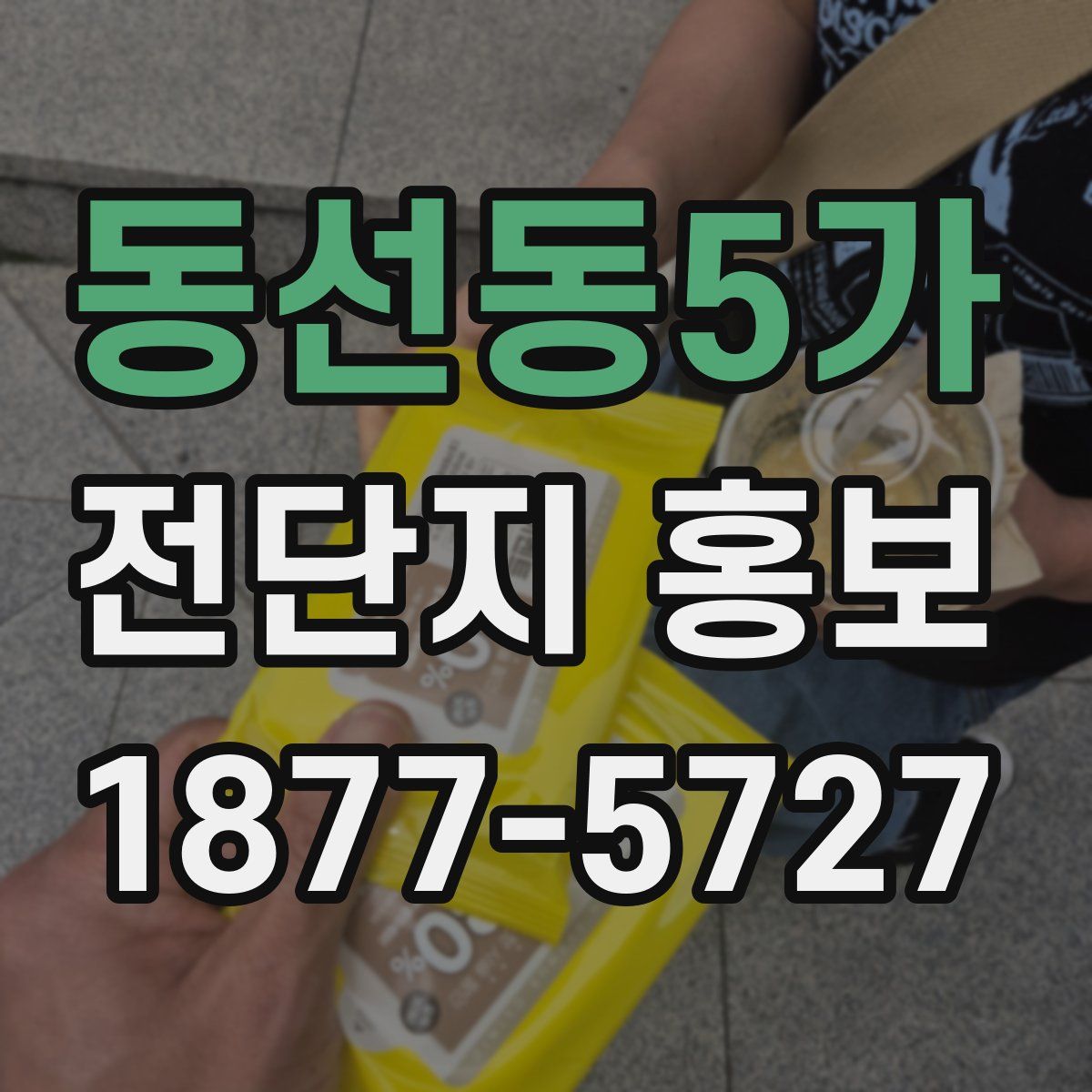 동선동5가 전단지 홍보