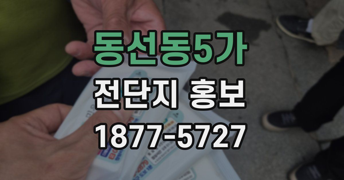 동선동5가 전단지 홍보