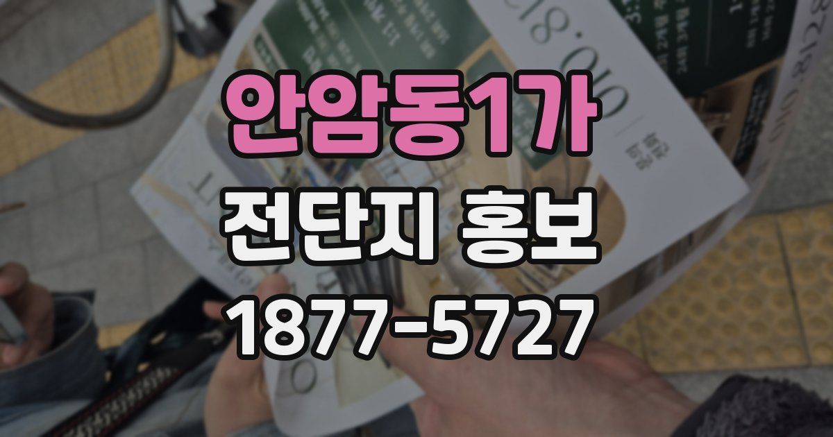 안암동1가 전단지 홍보
