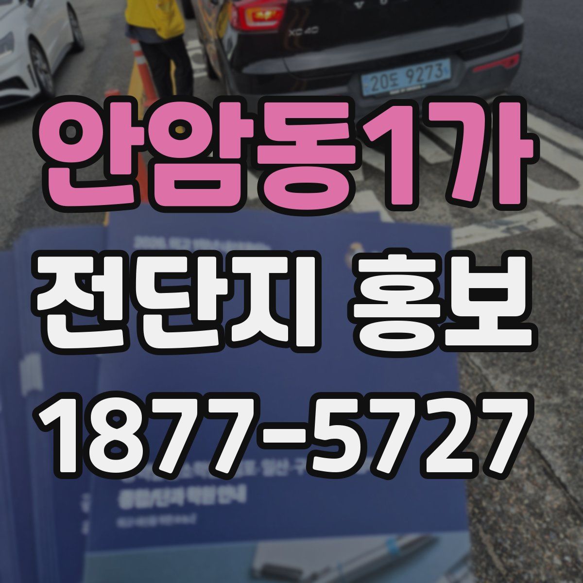 안암동1가 전단지 홍보