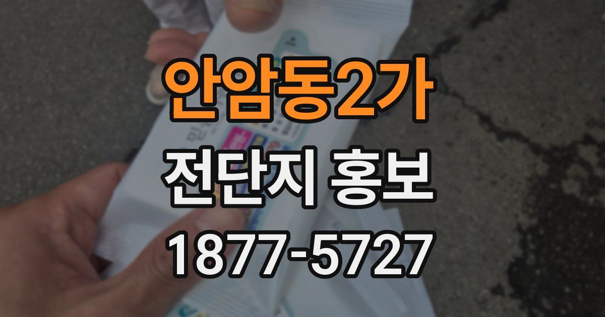 안암동2가 전단지 홍보