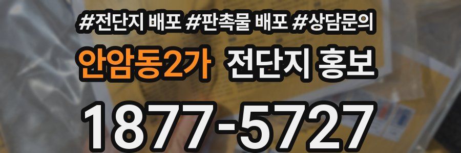 안암동2가 전단지 홍보