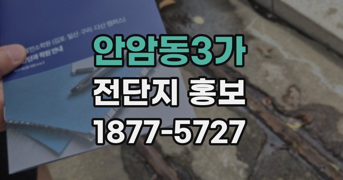 안암동3가 전단지 홍보