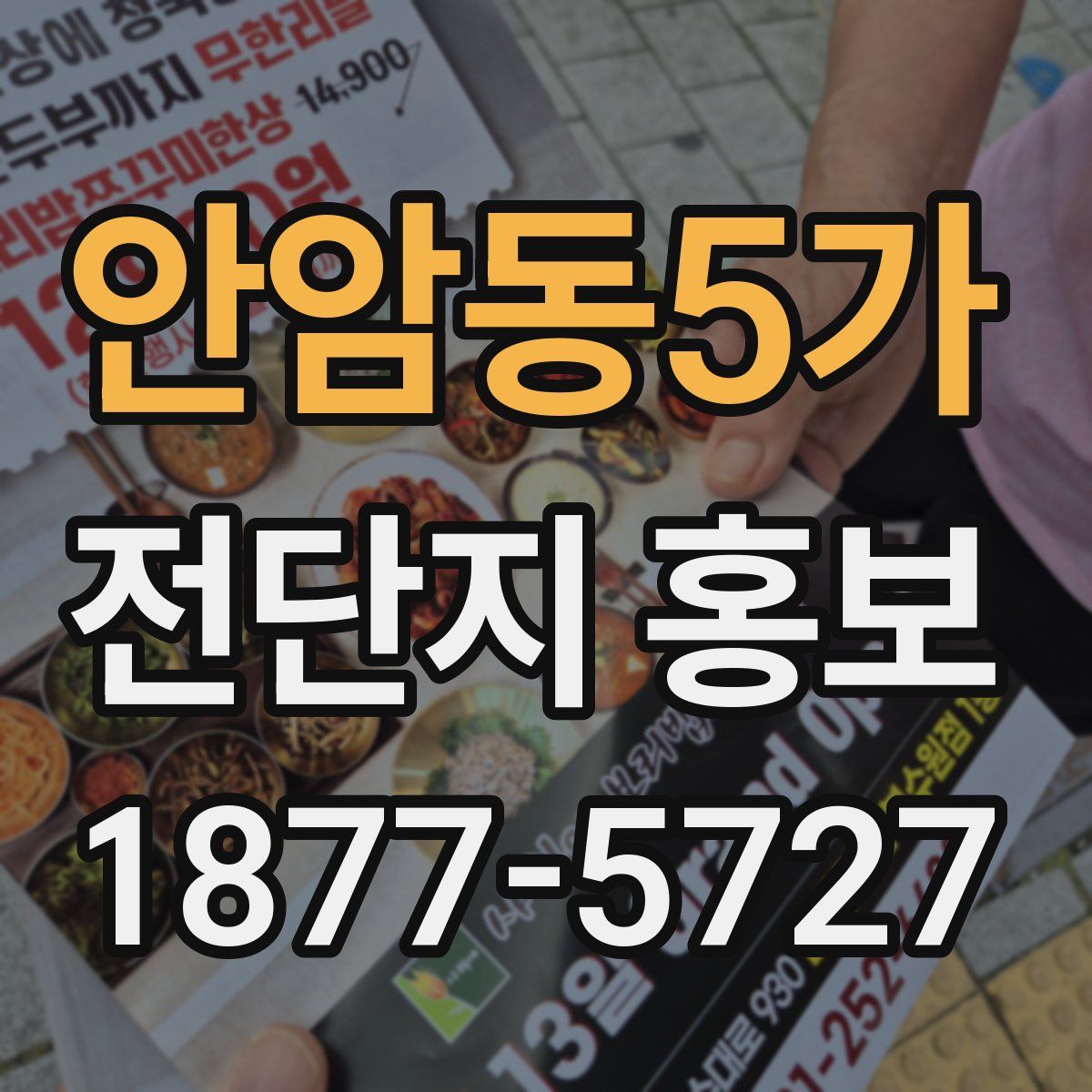 안암동5가 전단지 홍보