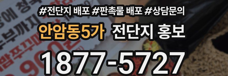 안암동5가 전단지 홍보