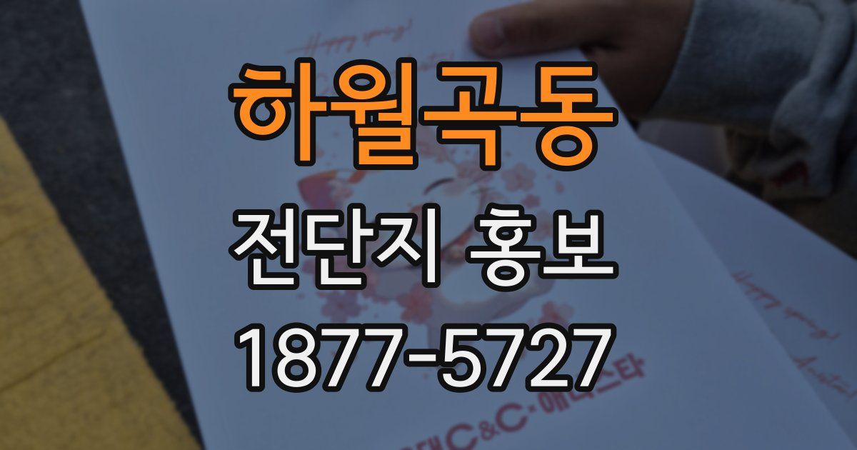 하월곡동 전단지 홍보
