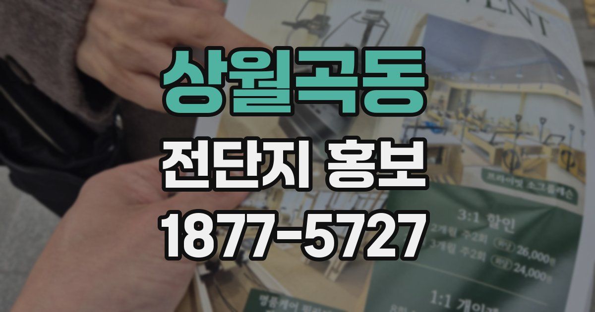 상월곡동 전단지 홍보