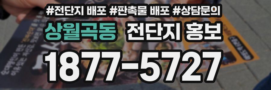 상월곡동 전단지 홍보