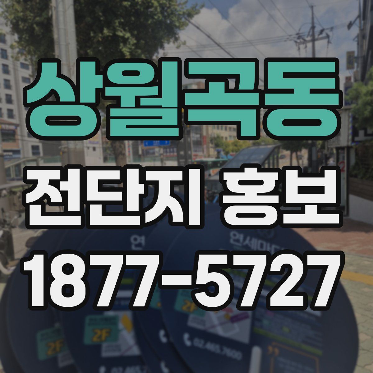 상월곡동 전단지 홍보