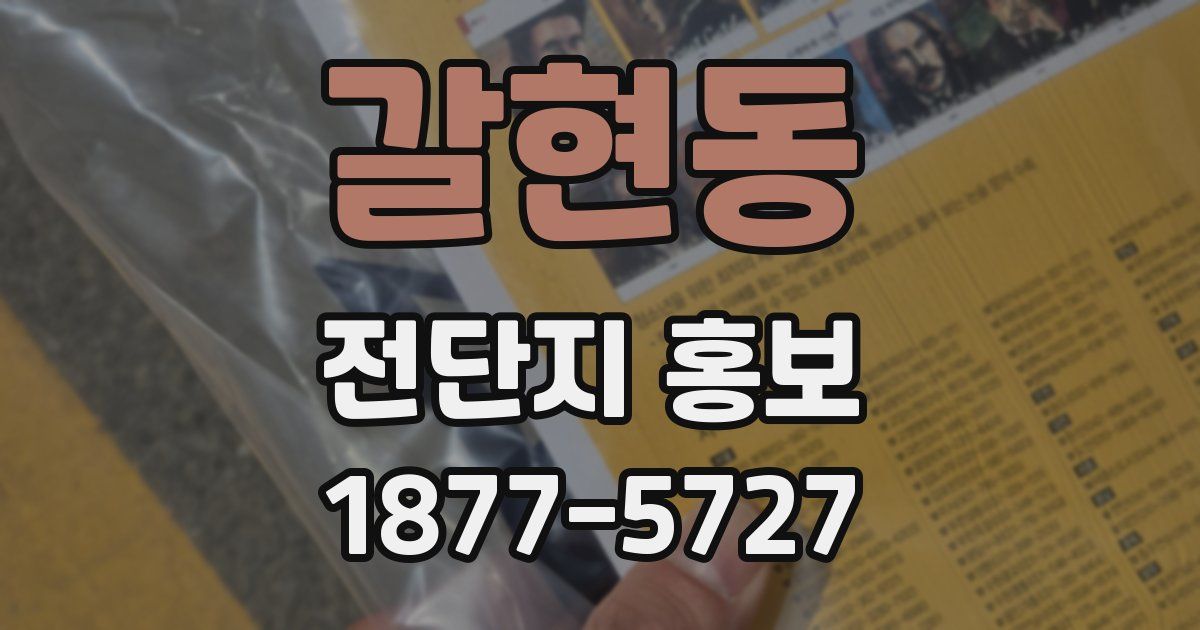 갈현동 전단지 홍보