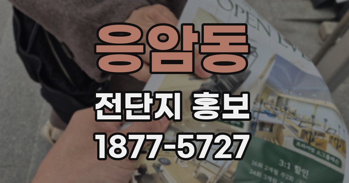 응암동 전단지 홍보