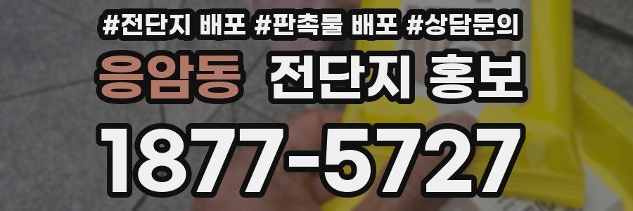 응암동 전단지 홍보