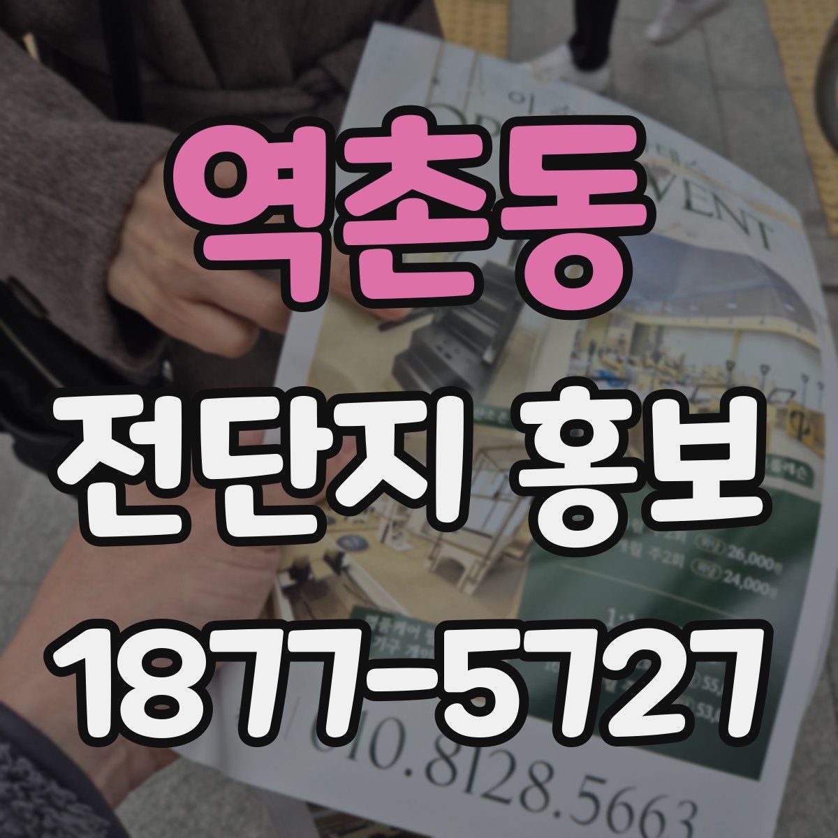 역촌동 전단지 홍보