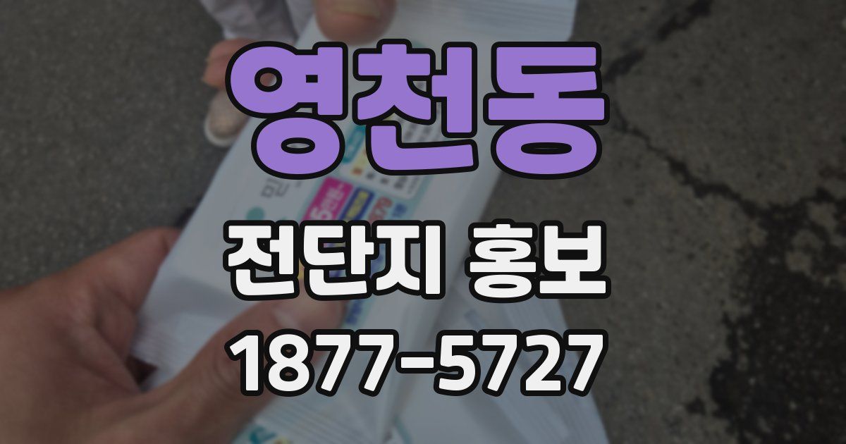 영천동 전단지 홍보
