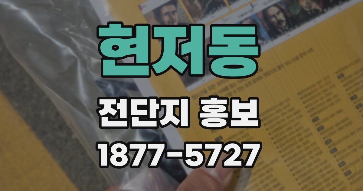 현저동 전단지 홍보