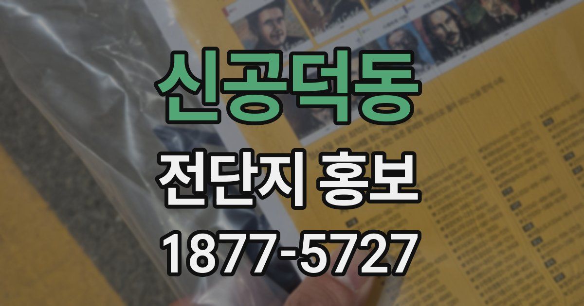 신공덕동 전단지 홍보
