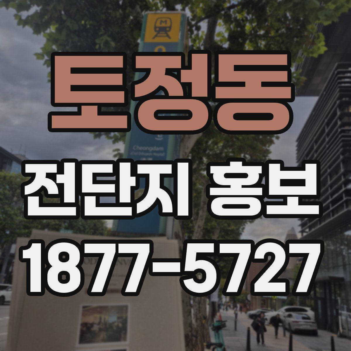 토정동 전단지 홍보
