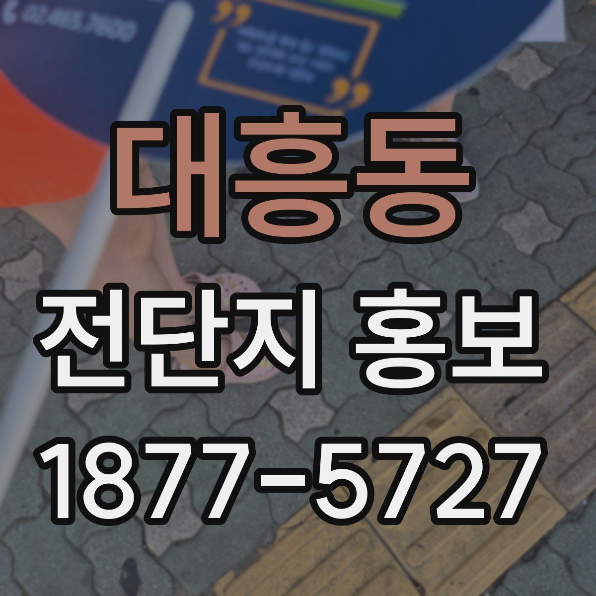 대흥동 전단지 홍보