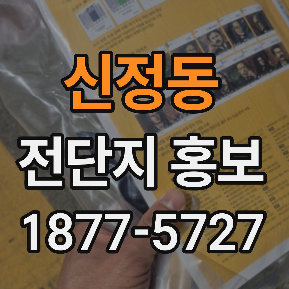 신정동 전단지 홍보