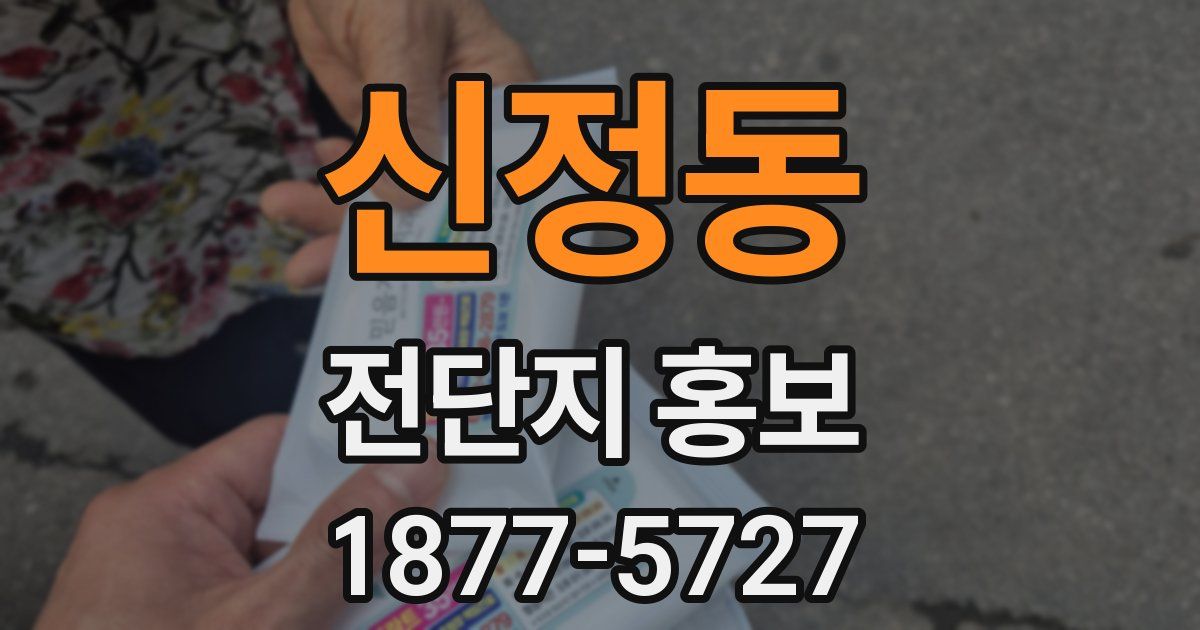신정동 전단지 홍보