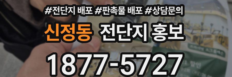 신정동 전단지 홍보