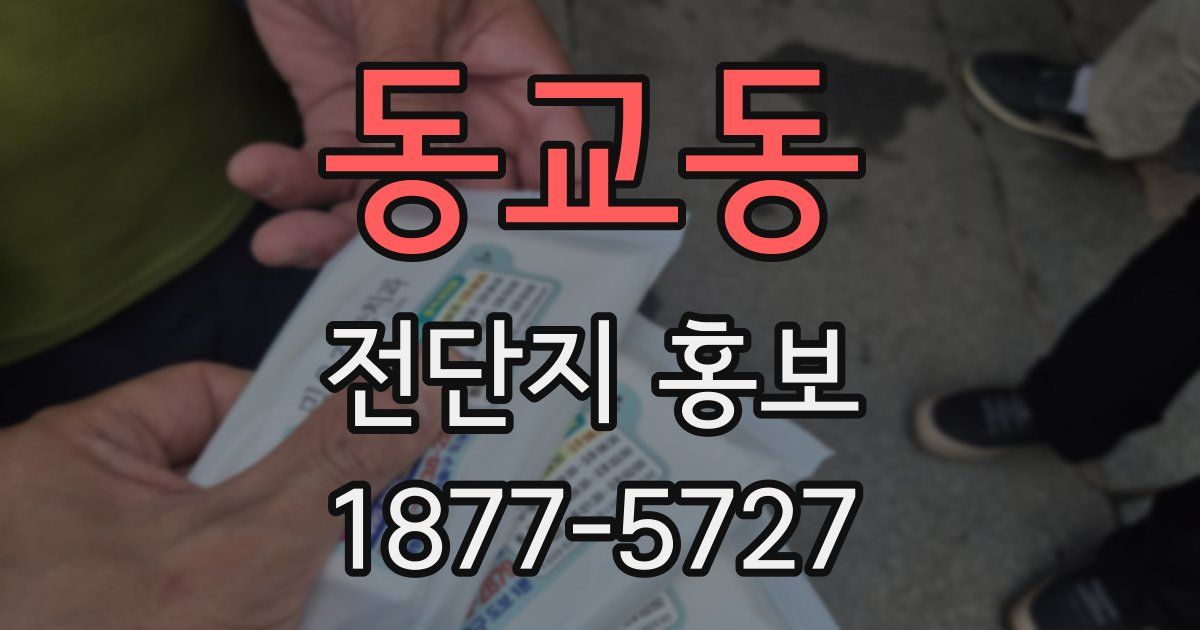 동교동 전단지 홍보