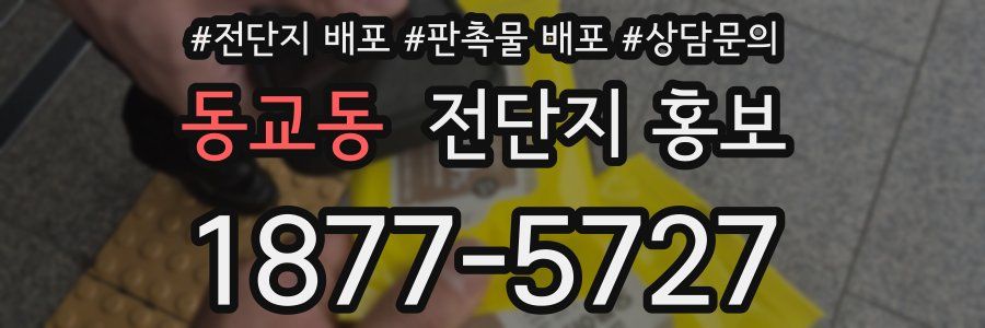 동교동 전단지 홍보