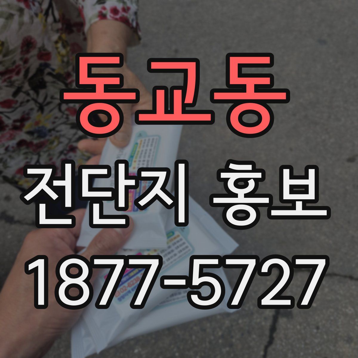 동교동 전단지 홍보