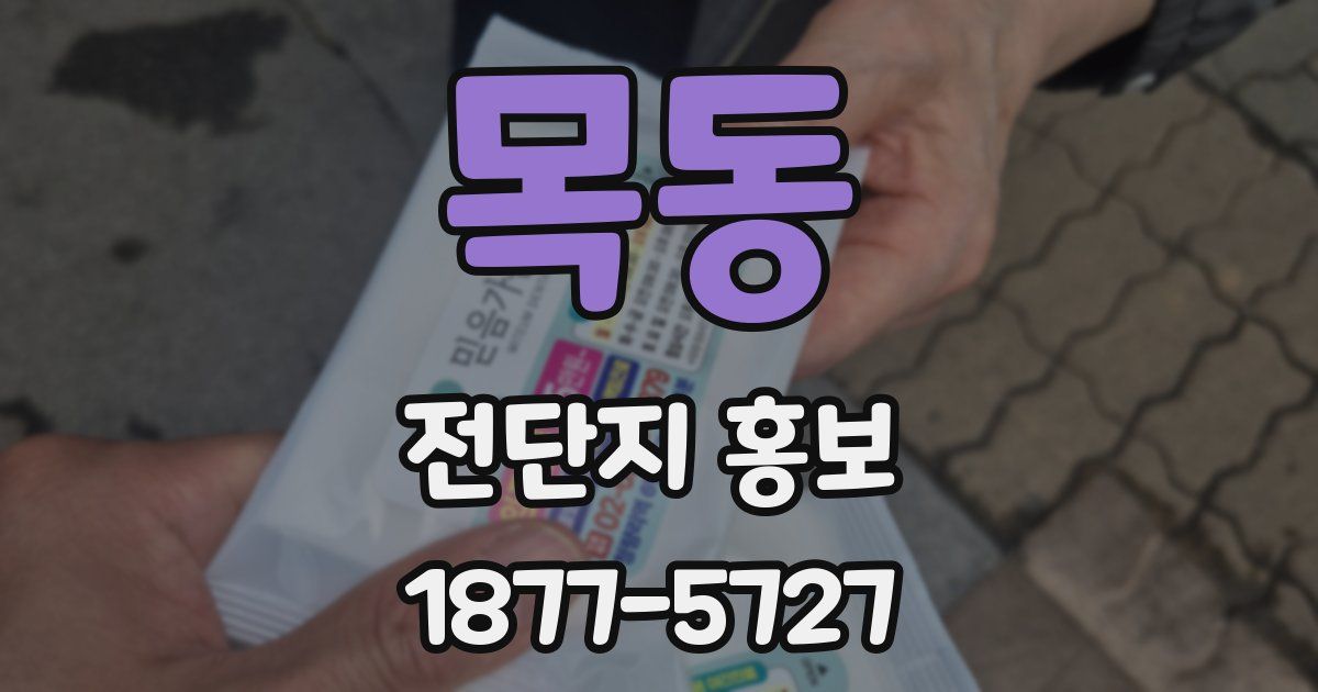 목동 전단지 홍보