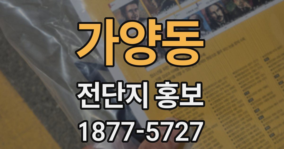 가양동 전단지 홍보