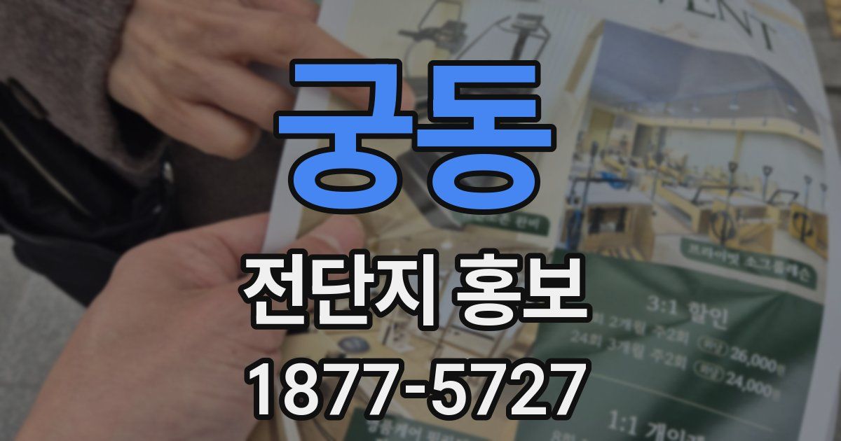 궁동 전단지 홍보