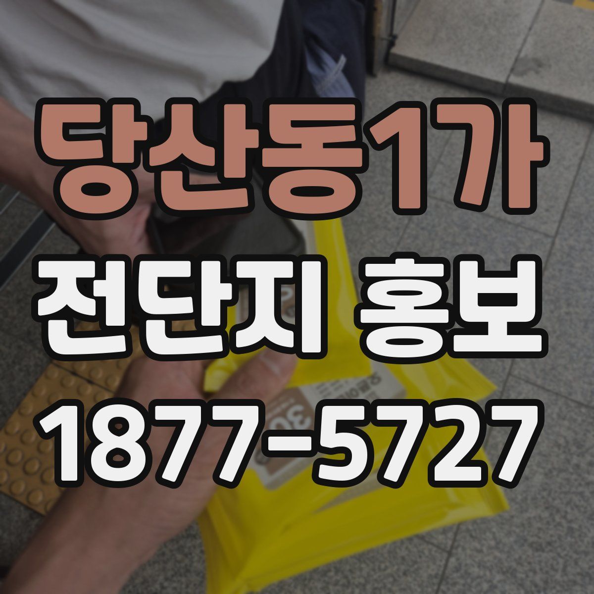 당산동1가 전단지 홍보