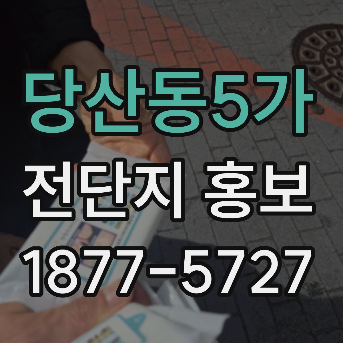 당산동5가 전단지 홍보