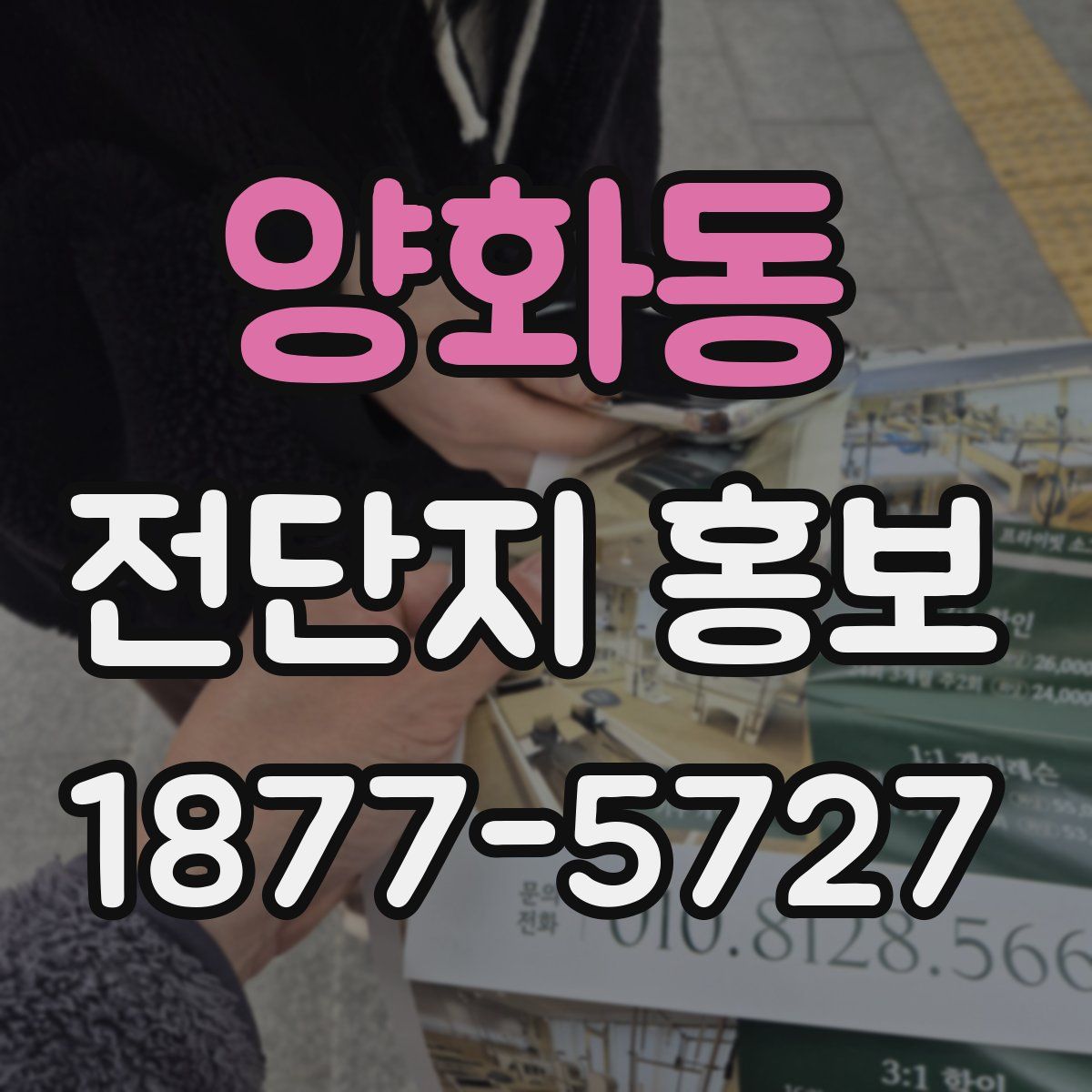 양화동 전단지 홍보